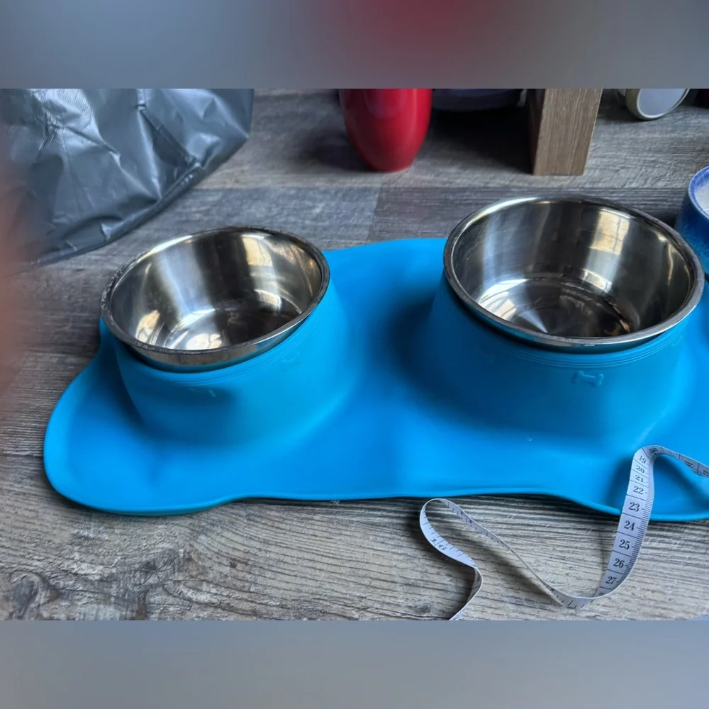 Blue Silicone Pet Feeding Mat with Bowls